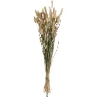 J-Line Botte de queues de lievre herbes sechees naturel