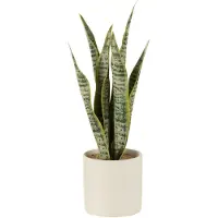 J-Line Plant sansevieria en pot pvc vert small
