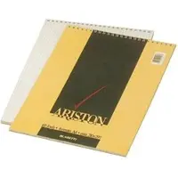 Blasetti Ariston Carnet de notes Multicolore