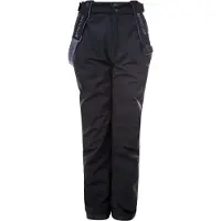 Whistler Pantalon d'extérieur 'Gippslang Jr.' gris / noir