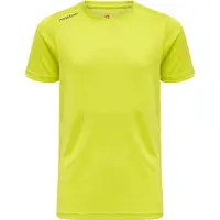 Newline T-Shirt fonctionnel gris / roseau