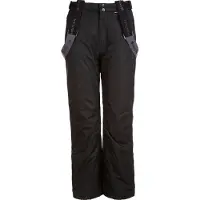 Whistler Pantalon de sport 'Fairfax' gris argenté
