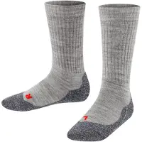 Falke Chaussettes de sport gris / gris foncé
