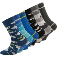 Ewers Chaussettes bleu cobalt / gris foncé