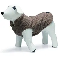 Designed By Lotte Sweat-shirt Pour Chien Madeleine