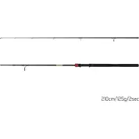 Delphin Murena Power Canne 2,1 m 125 g 2 parties