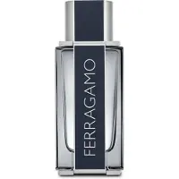 Big Buy Cooking Parfum pour homme Ferragamo Salvatore Ferragamo EDT (100 ml) (100 ml)
