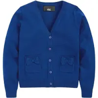 Next Cardigan bleu