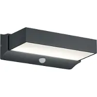 TRIO Applique murale d'extérieur à LED avec détecteur de mouvement, lampe d'extérieur anthracite, largeur 23cm