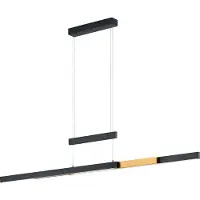 TRIO Lampe LED suspendue TRAJAN noir 375310502