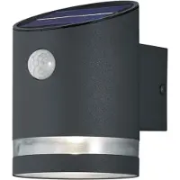 TRIO Applique solaire LED avec détecteur de mouvement SALTA, anthracite, 3 W, blanc chaud, 165 lm, métal, dim. : 13 x 9 x 9 cm, IP44, RL