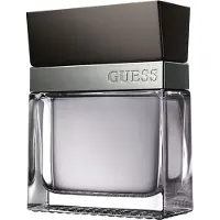 GUESS Seductive Homme Eau De Toilette 100 ml (man)