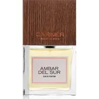 CARNER BARCELONA Ambar del Sur Eau de Parfum 100 ml