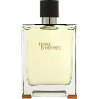 Hermès Paris Hermes Terre D'Hermes Parfum 75ml