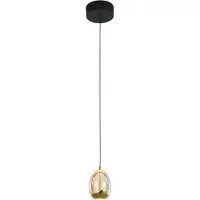 Highlight Suspension Golden Egg Noir Simple