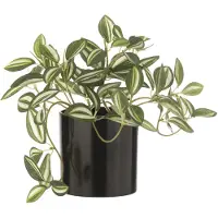 J-Line Tradescantia en pot artificiel vert/blanc