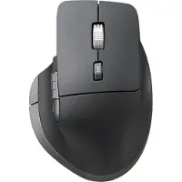 ISY Souris Sans Fil Dual Mode Pro Noir (iwm-5000)