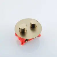 FortiFura Calvi Mitigeur thermostatique encastré - partie encastrée - rond - laiton brossé SW721169/SW1171109