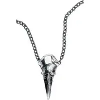 Alchemy Gothic Collier Gothic de - Petit Crâne De Corbeau - pour Unisexe - Standard - Taille Standard