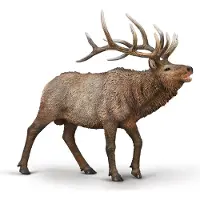 Collecta Elan XL - Jouet animal sauvage peint à la main plastique