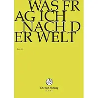 OUTHERE Was frage ich nach der welt DVD