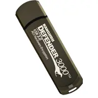 ISTORAGE 256GB Kanguru Defender 3000 (256 Go, USB-A), Clé USB, Or, Gris