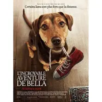 SPHE L'incroyable aventure de Bella DVD