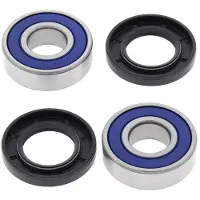 All Balls Wheel Bearing Kit 25-1210