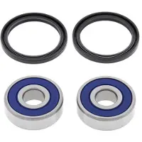 All Balls Racing 25-1147 Front Wheel Bearing Kit Argenté