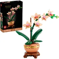 LEGO Botanicals - L'Orchidée Miniature 10343
