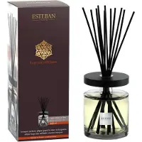 Esteban Bouquet parfumé Ellipse 500ml