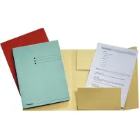 Esselte Porte-documents 510171 Carton A4 (A4, 50x)