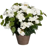 Mica Decorations Bégonia plante artificielle blanc en pot H37
