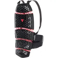 Dainese Pro-armor 2.0 Back Protector Noir L-2XL
