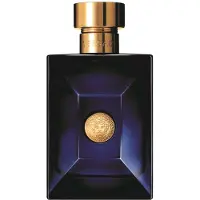 Versace Pour Homme Dylan Blue EAU DE TOILETTE 100 ML