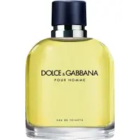 Dolce&Gabbana Pour Homme Eau de Toilette pour homme 75 ml