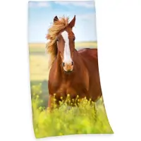 MCU Pferd (150 x 75 cm)