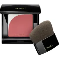 Sensai Blooming blush 01 Mauve 4 grammes