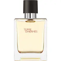 Hermès Paris Terre D'hermes Eau De Toilette 50ml Vaporisateur