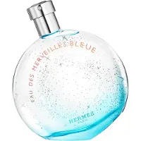 Hermès Paris Eau Des Merveilles EAU DE TOILETTE 50 ML