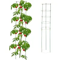 Relaxdays Support Pour Plantes Grimpantes, Lot De 2, Jardin Et Balcon, 150 Cm, 5 Anneaux, Fer Et Plastique, Vert -