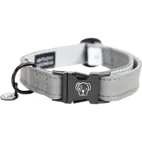 Kentucky Collier Réfléchissant