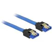 DeLOCK - Câble SATA - Serial ATA 150/300/600 - SATA (R) pour SATA (R) - 1 m - verrouillé - bleu