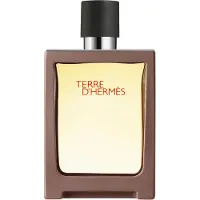Hermès Paris Hermes, Terre d'Hermes, Eau De Toilette, For Men, Refillable, 30 ml