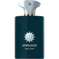 Amouage Enclave Eau De Parfum 100 ml (unisex)