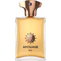 Amouage Dia Man EDP 100 ml M