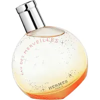 Hermès Paris Eau Des Merveilles Eau de Toilette Rechargeable 30 ml