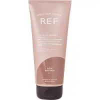 Ref Colour Boost Masque 200 ml Ash Brown