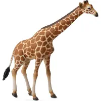 Collecta Girafe - (XL)