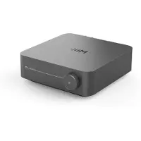 WIIM Amp Pro Gris